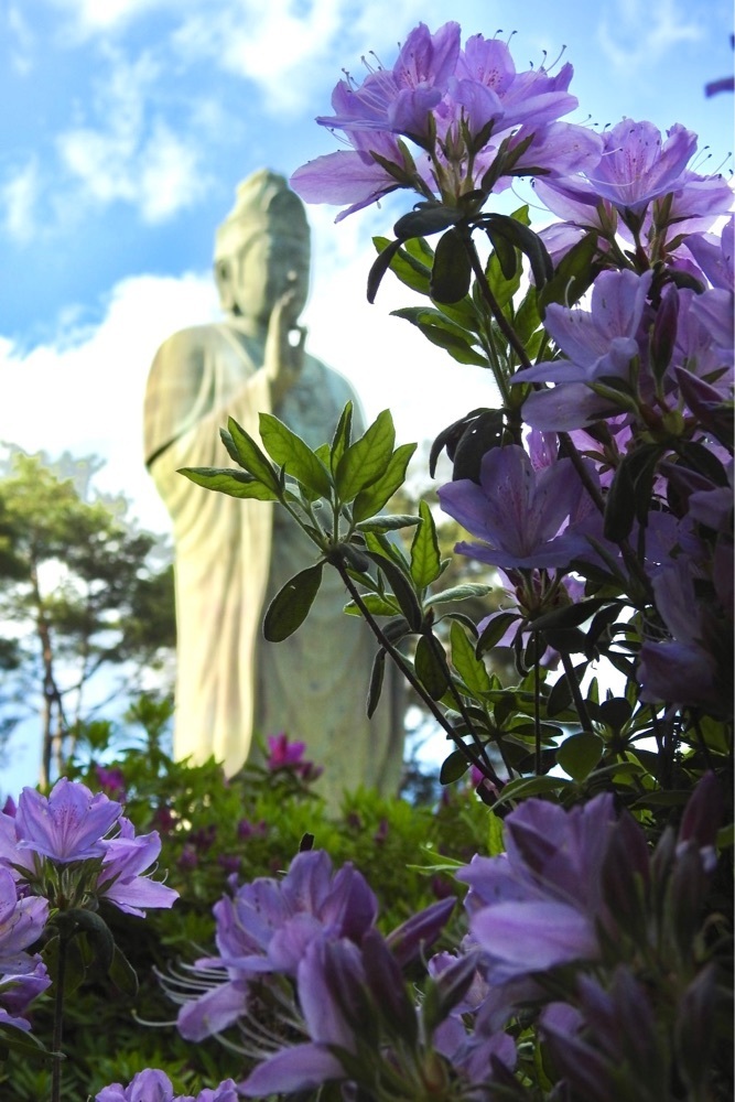 junkunさんが投稿した塩船観音寺に関する口コミの画像