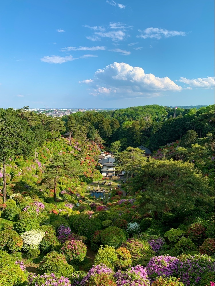 junkunさんが投稿した塩船観音寺に関する口コミの画像