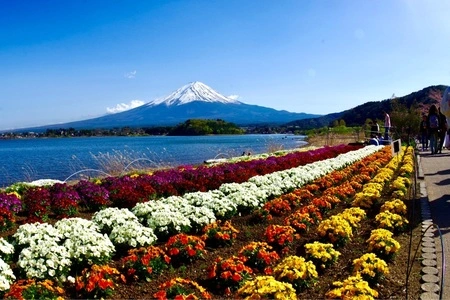 河口湖自然生活館