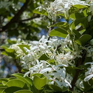 県立羽生水郷公園