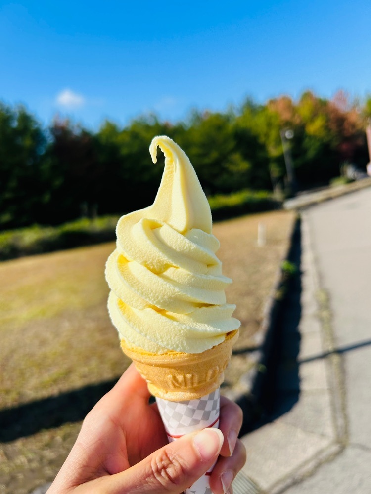 cool_village_20d2さんが投稿した道の駅 桜島に関する口コミの画像