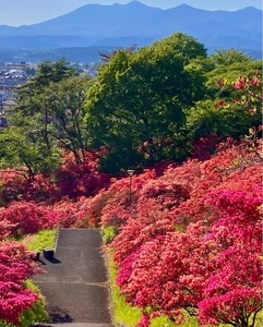 長峰公園（栃木県矢板市）