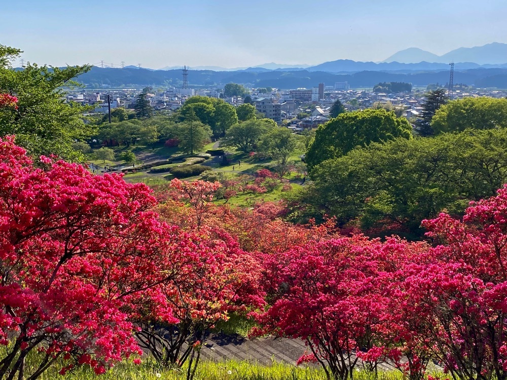 calm_gift_1030さんが投稿した長峰公園（栃木県矢板市）に関する口コミの画像