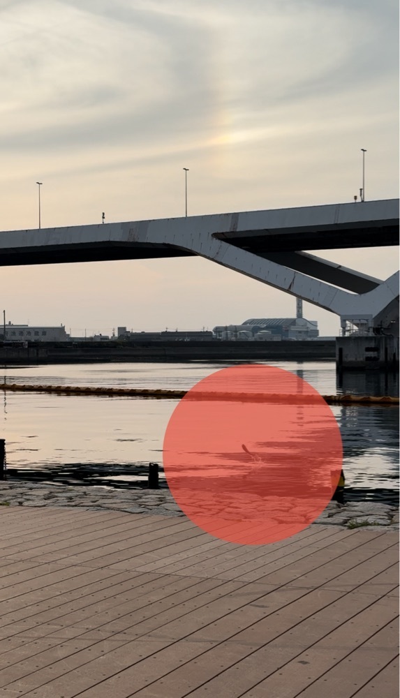 ぺたこ♡さんが投稿したサンマルクカフェ 岸和田カンカンベイサイドモール店に関する口コミの画像