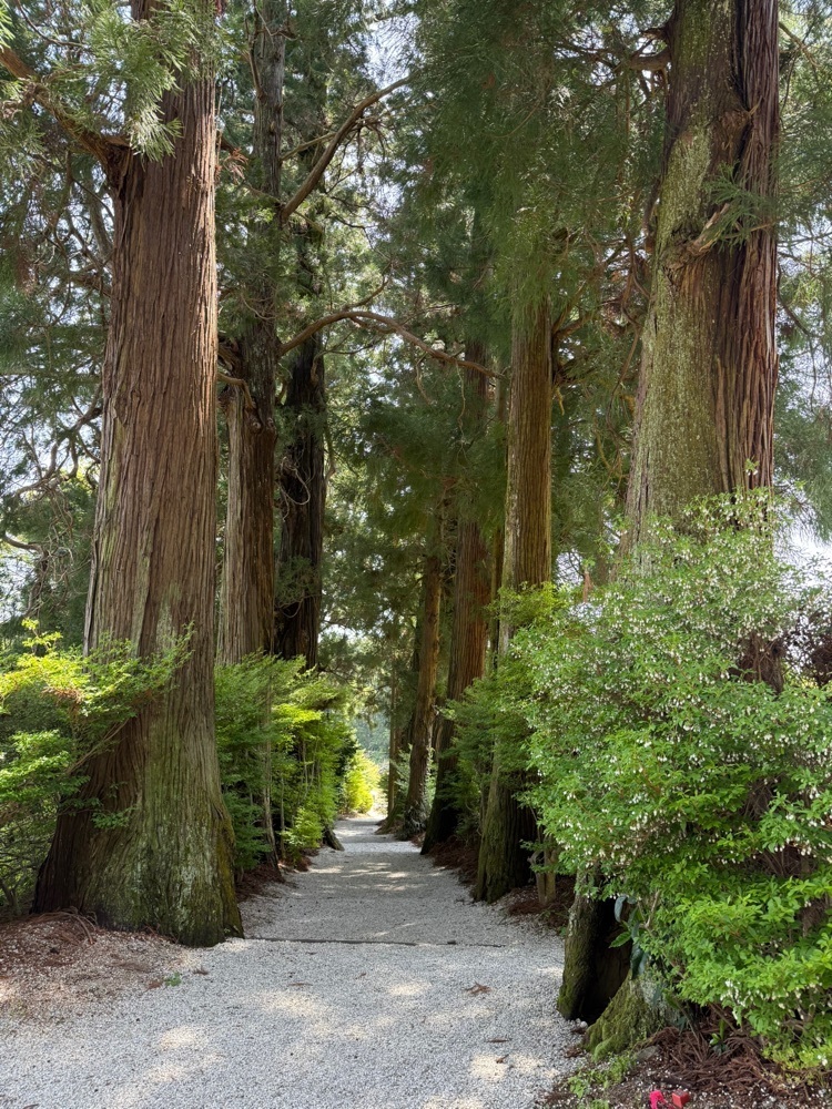 beautiful_garden_e784さんが投稿した高天彦神社に関する口コミの画像