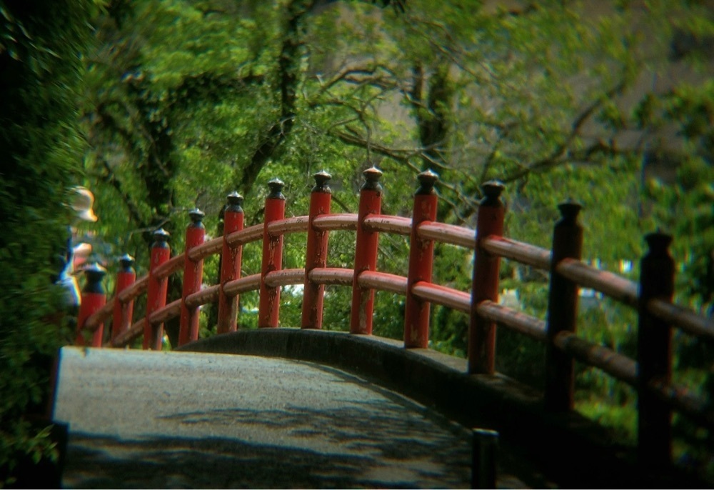 兎きちさんが投稿した早水神社に関する口コミの画像