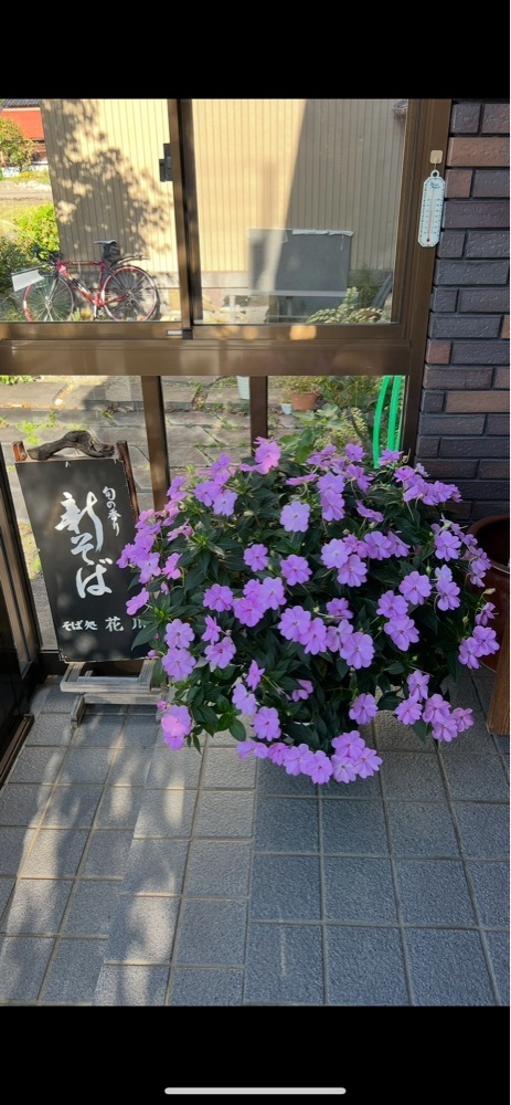 pyonpyono3さんが投稿したそば処 花川に関する口コミの画像
