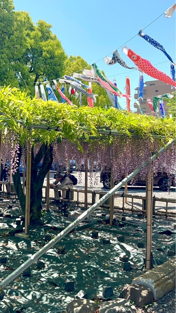 ビンカさんが投稿した白旗神社に関する口コミの画像