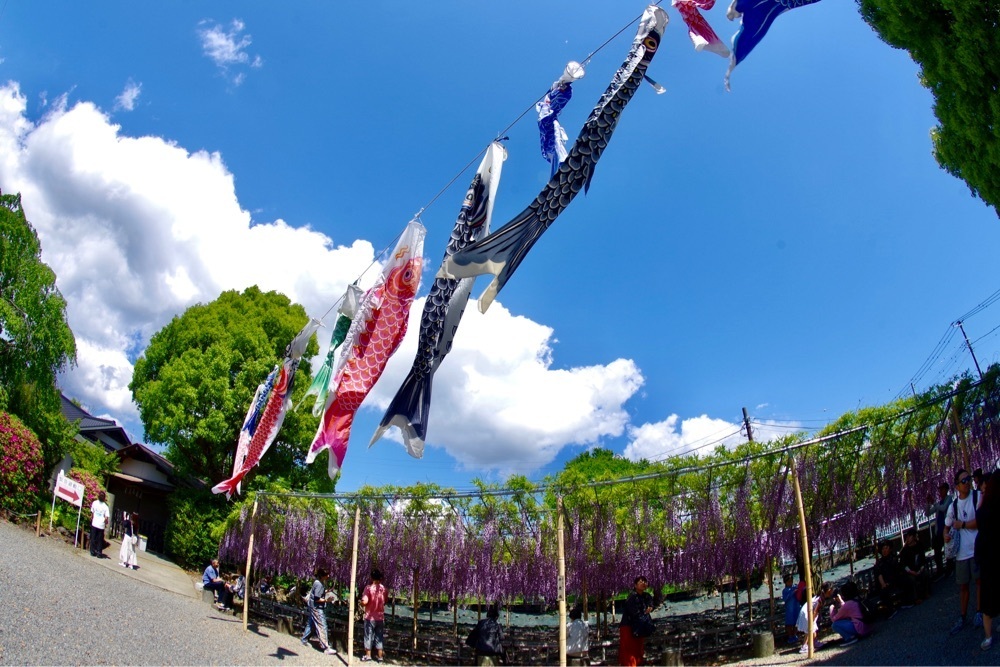 ビンカさんが投稿した白旗神社に関する口コミの画像