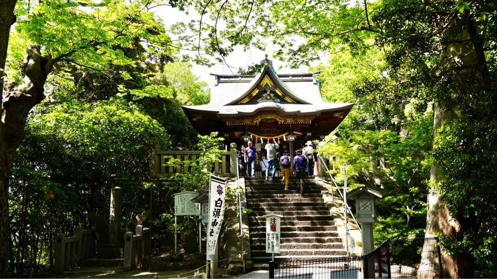 ビンカさんが投稿した白旗神社に関する口コミの画像