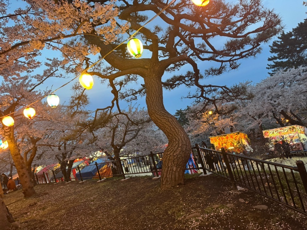 旅とお酒とご飯smi1さんが投稿した函館公園に関する口コミの画像