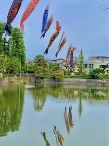 碑文谷公園