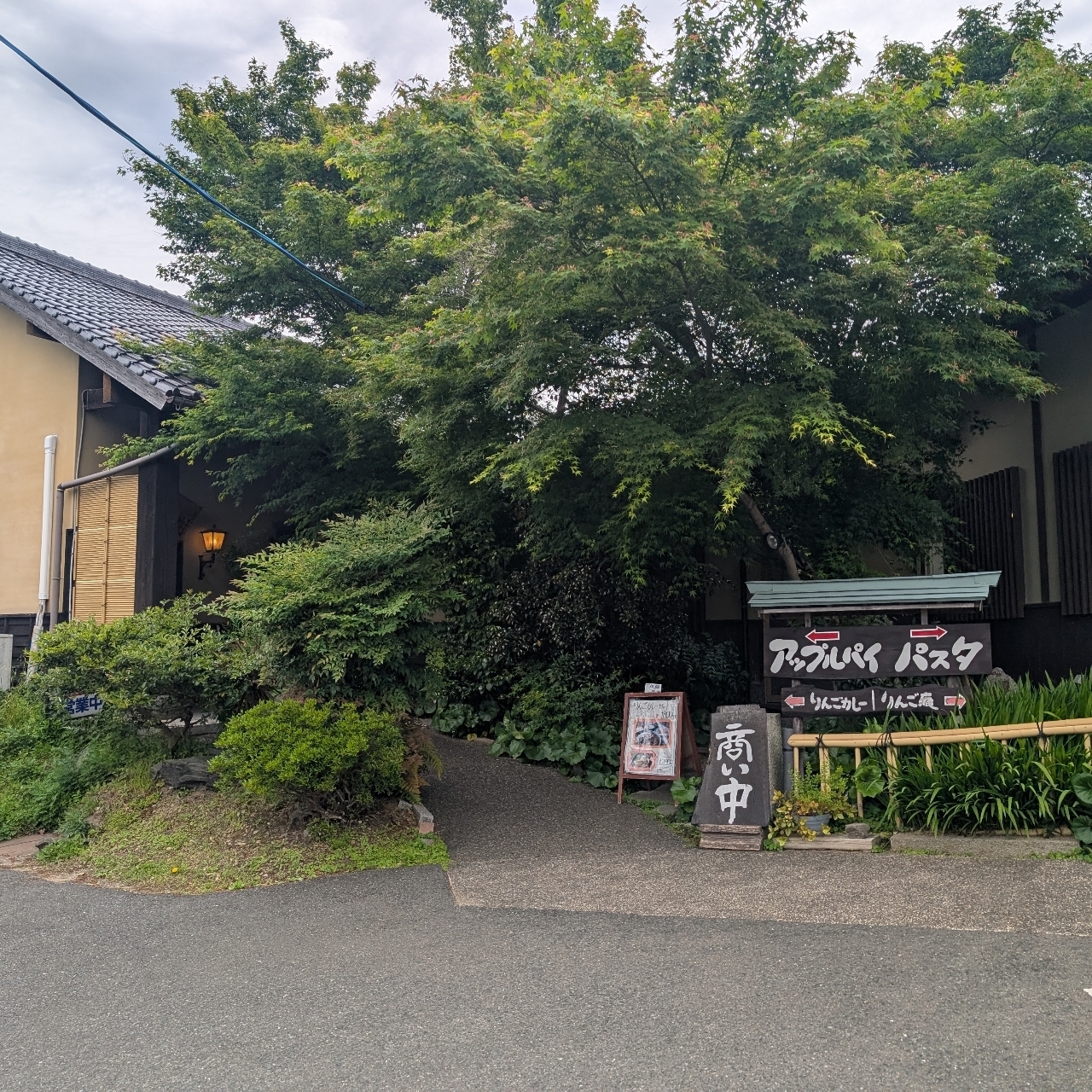 cool－showtimeさんが投稿した林檎と葡萄の樹に関する口コミの画像