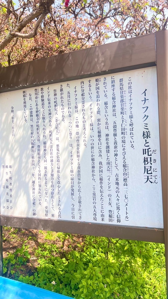 miiさんが投稿した五大尊のツツジに関する口コミの画像