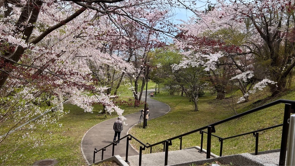 マサぴょんさんが投稿した天神藤に関する口コミの画像