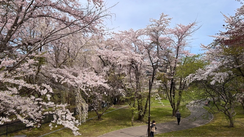 マサぴょんさんが投稿した天神藤に関する口コミの画像