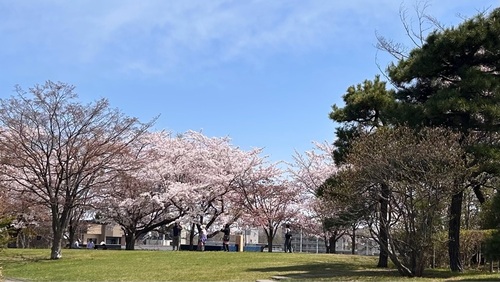 施設画像