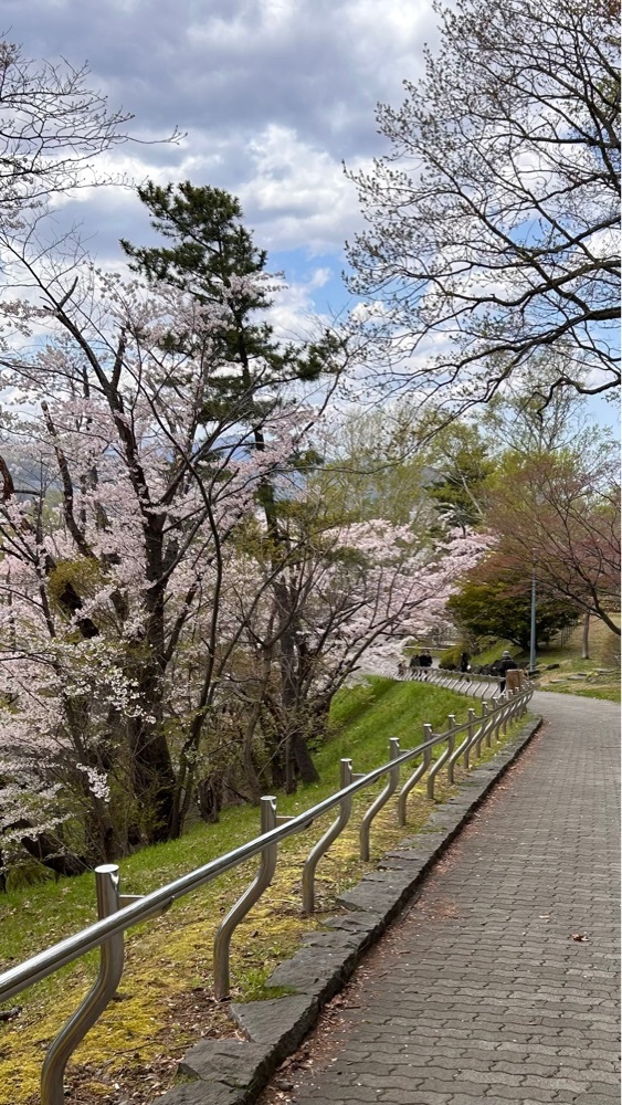 マサぴょんさんが投稿した天神藤に関する口コミの画像