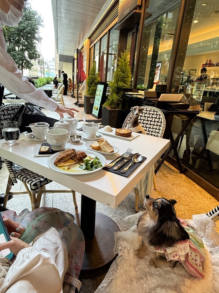 志保さんが投稿したフォション ル・カフェ（FAUCHON LE CAFE）に関する口コミの画像