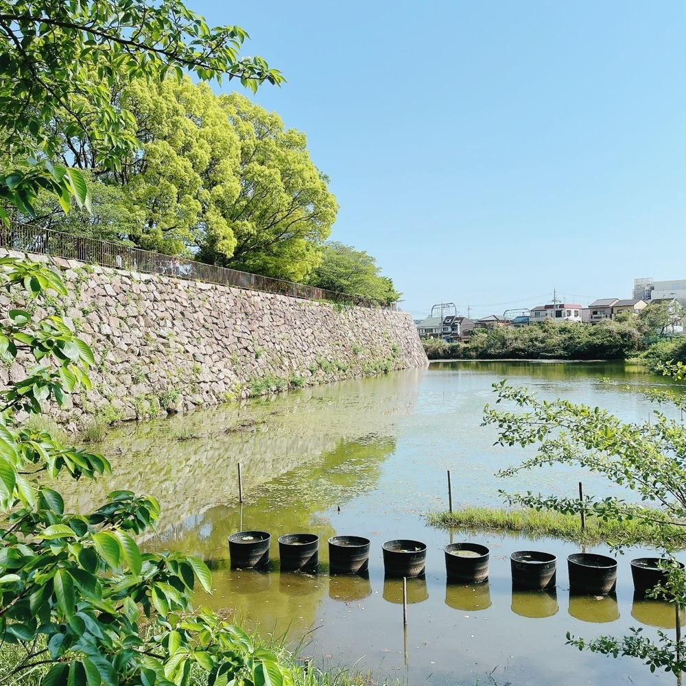 Danjouさんが投稿した淀城(淀城跡公園)に関する口コミの画像