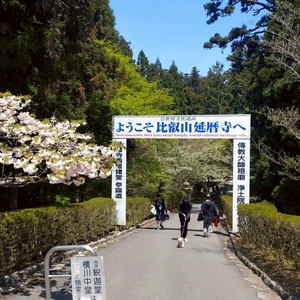 比叡茶寮根本中堂前店