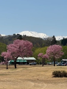 白川ダム湖畔オートキャンプ場