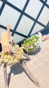 藤屋（越生こだわりとうふ藤屋）