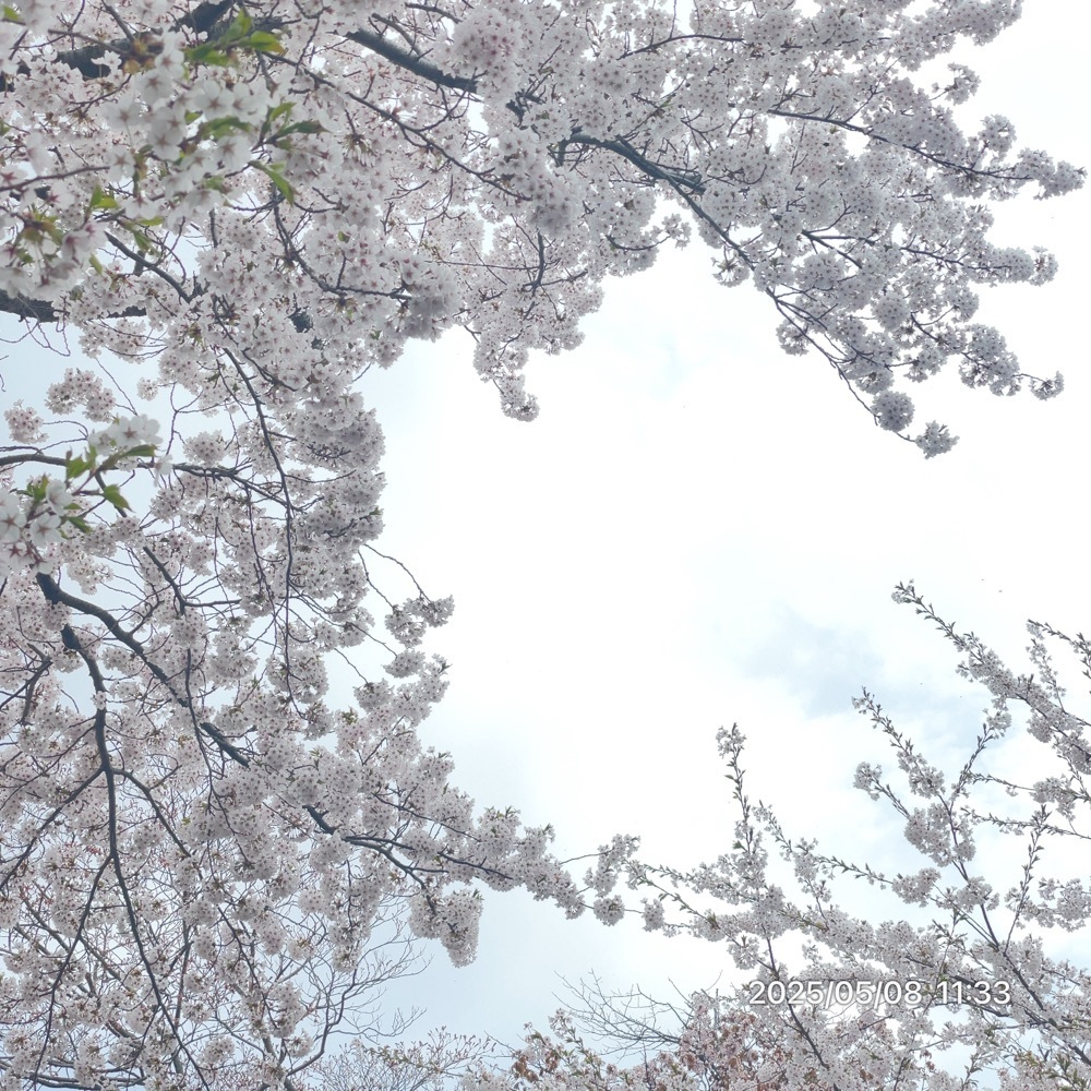 by marco2さんが投稿した戸田記念墓地公園に関する口コミの画像