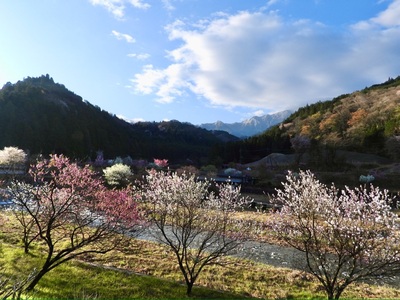 施設画像