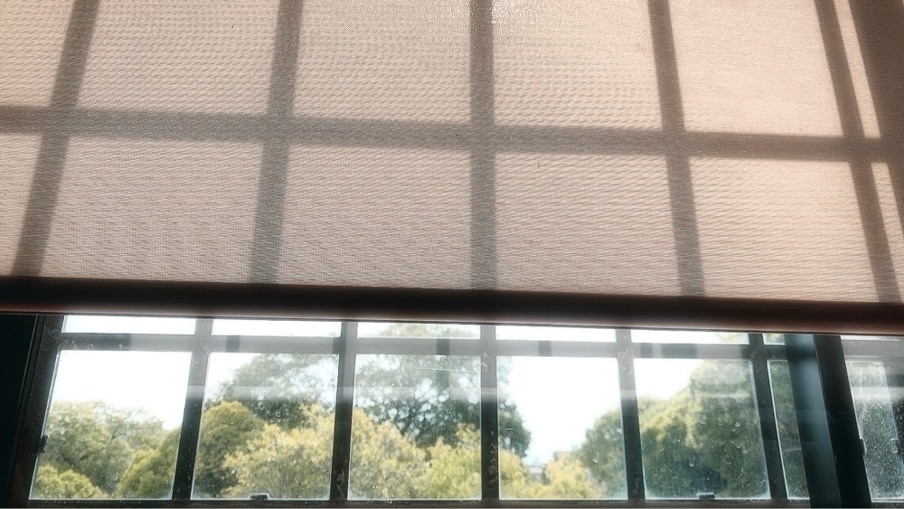 兎きちさんが投稿した薩摩蒸気屋 宮崎神宮東店に関する口コミの画像