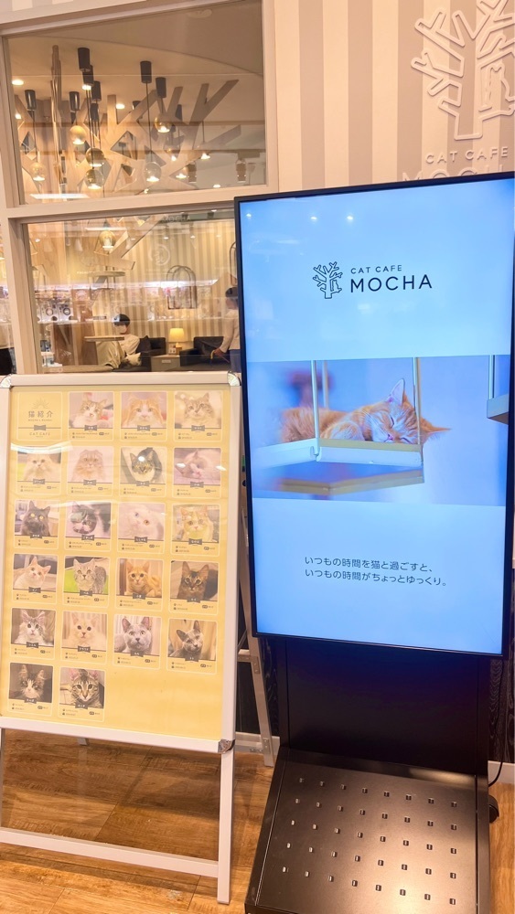 miiさんが投稿した猫カフェ MOCHA アルシェ大宮店に関する口コミの画像