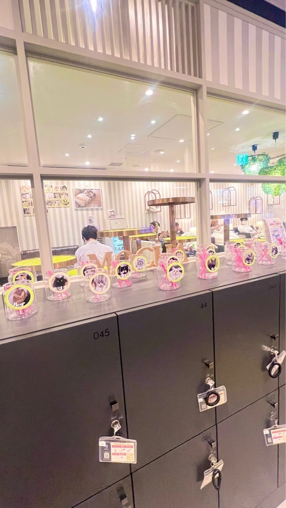 miiさんが投稿した猫カフェ MOCHA アルシェ大宮店に関する口コミの画像
