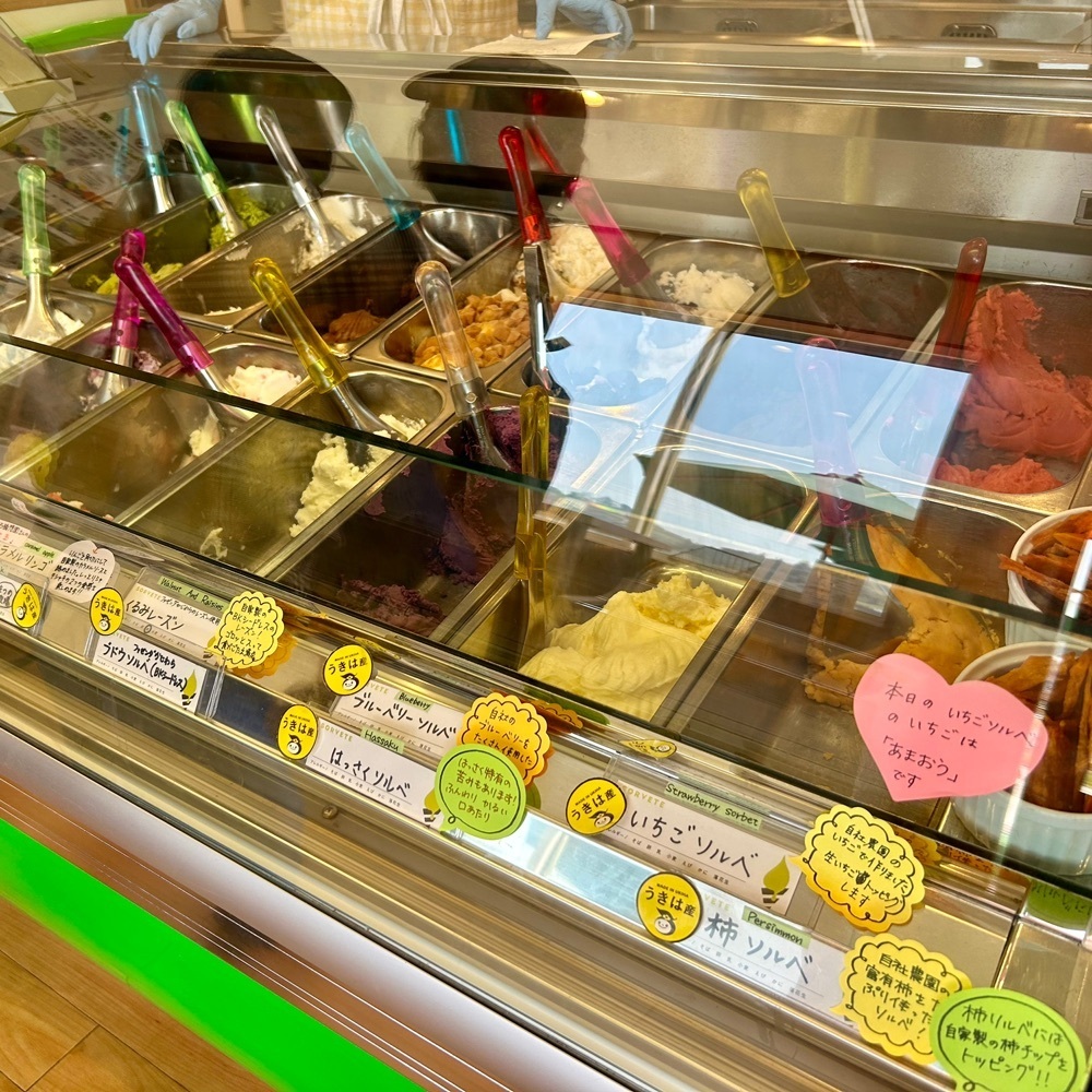 しりげグルメさんが投稿したソルベッチdoうきは （ソルベッチドウキハ）に関する口コミの画像