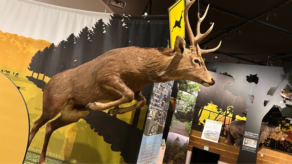 マサぴょんさんが投稿した北海道博物館に関する口コミの画像