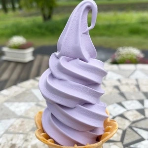 佐倉ラベンダーランド