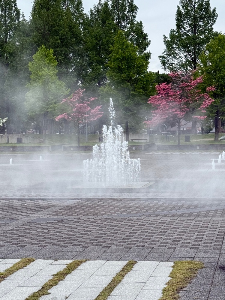 jun1216さんが投稿したもり～な天童（天童市森林情報館）に関する口コミの画像