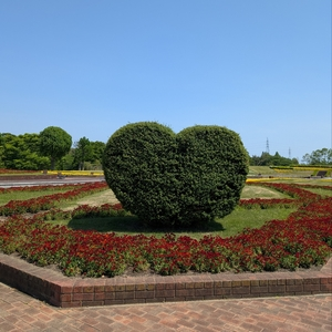 鈴鹿フラワーパーク