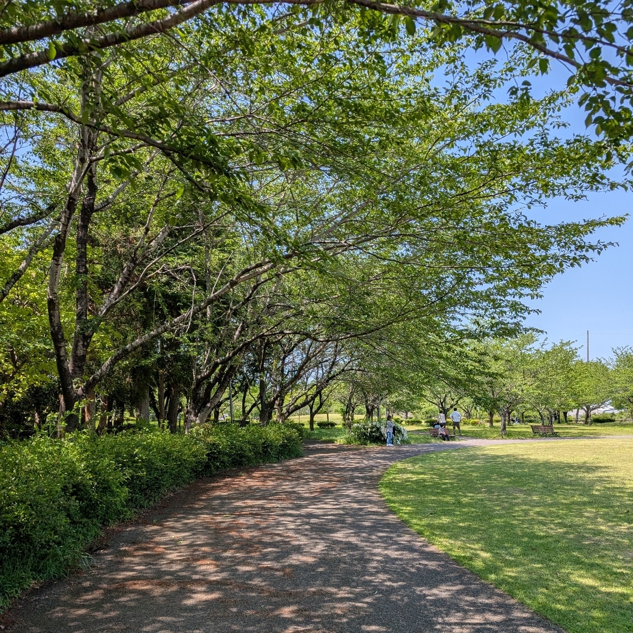 ぬっくさんが投稿した鈴鹿フラワーパークに関する口コミの画像
