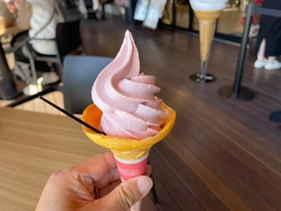 テラスキッチン（terrace kitchen）