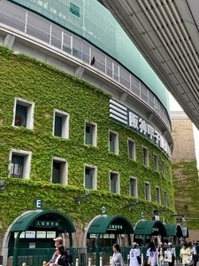 甲子園