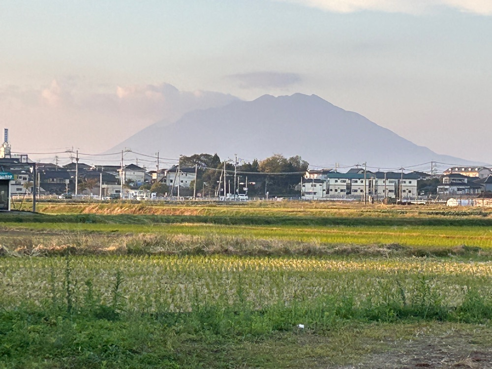 cool_village_20d2さんが投稿した日当山西郷どん村に関する口コミの画像