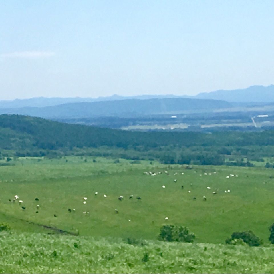 yoshiさんが投稿したナイタイ高原レストハウスに関する口コミの画像