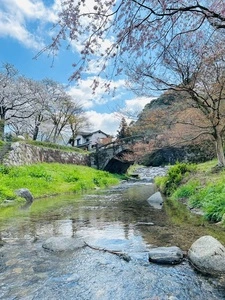 秋月城跡