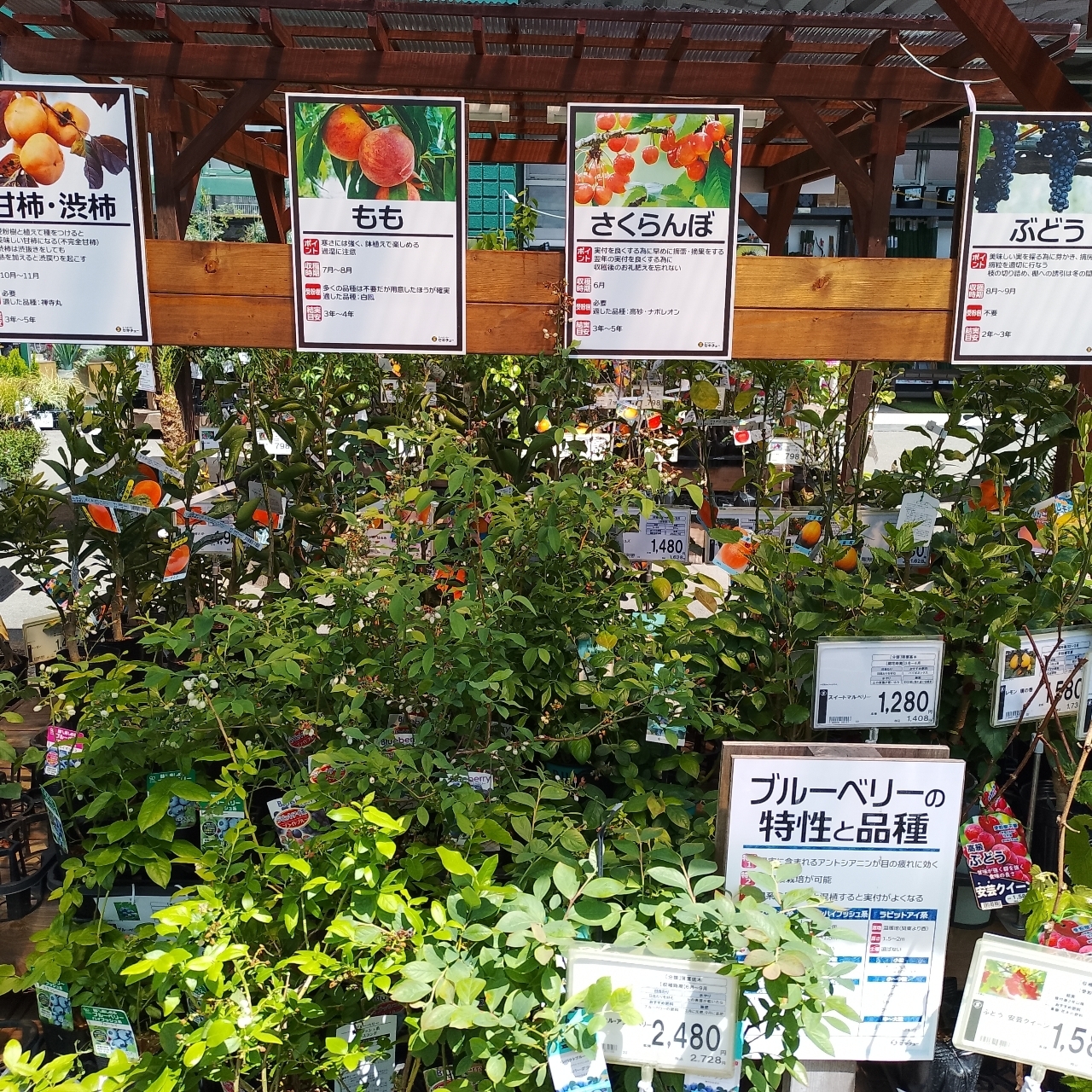 のんびりんこさんが投稿したセキチュー 藤岡インター店に関する口コミの画像