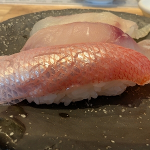 回転鮨 魚太郎 瑞穂店