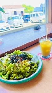 かぼちゃの花