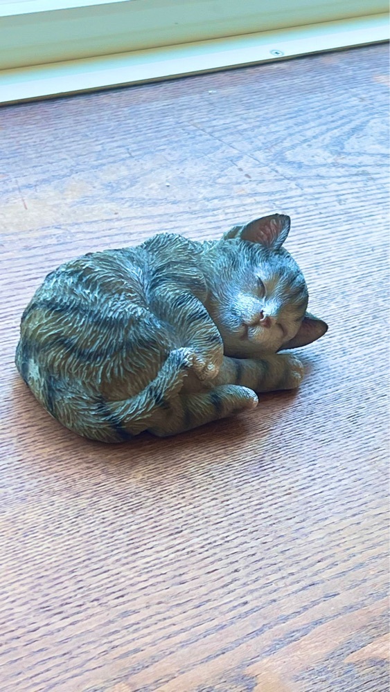 miiさんが投稿したかぼちゃの花に関する口コミの画像