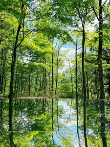 空気神社