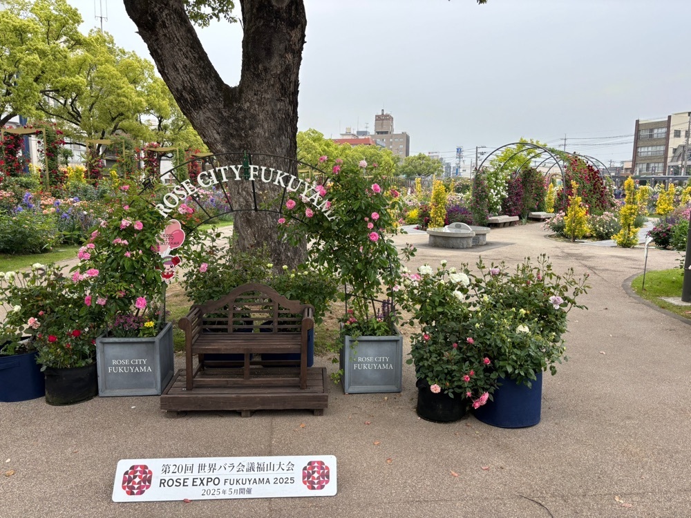 みーなさんが投稿したばら公園のバラに関する口コミの画像