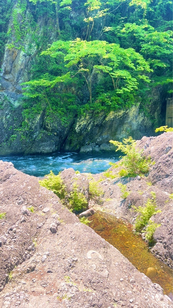miiさんが投稿した渡良瀬川に関する口コミの画像